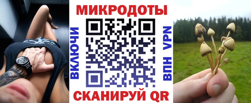 Псилоцибиновые грибы Psilocybine cubensis  купить наркоту  Опочка 